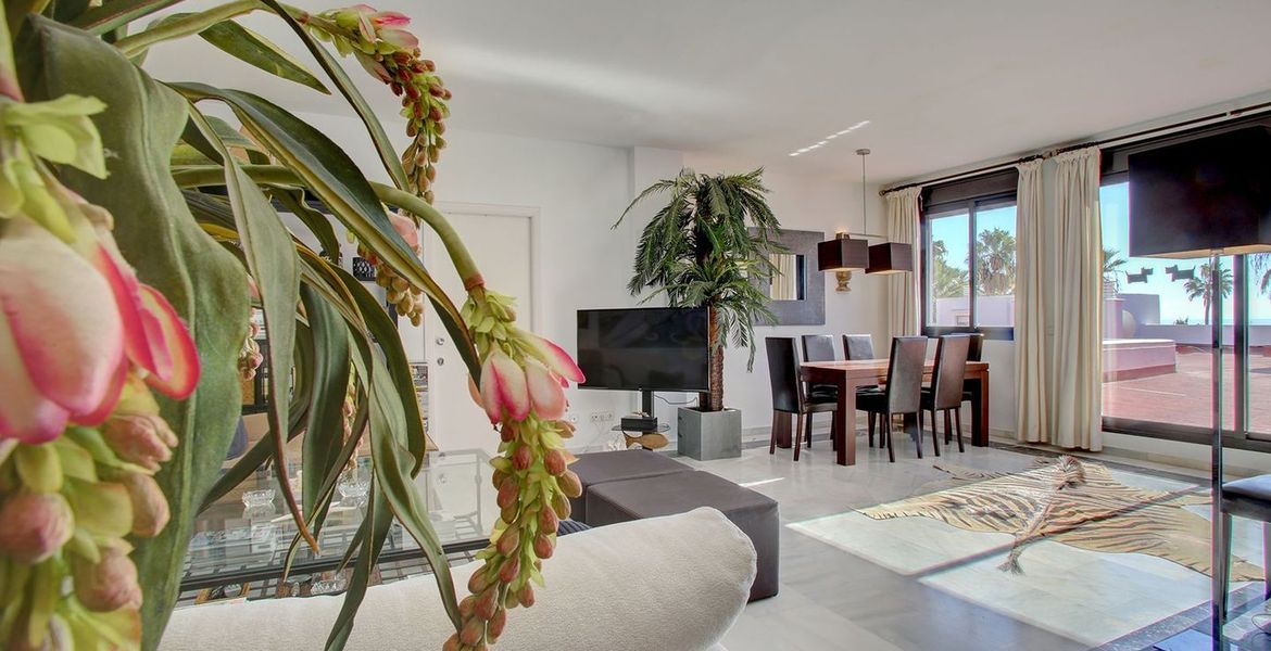 Penthouse Playas del Duque