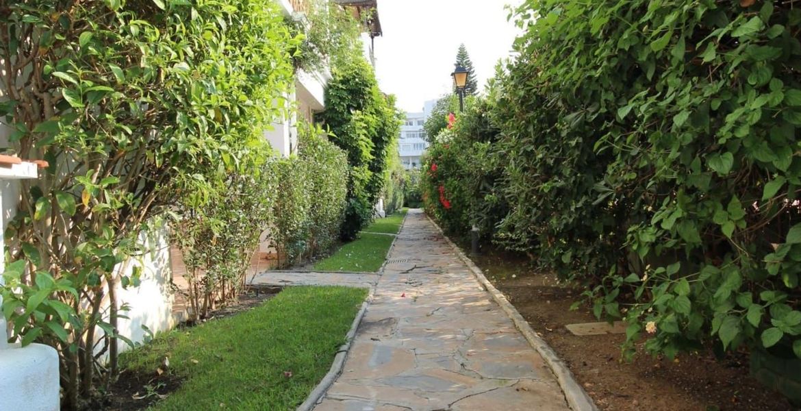 Apartment in marbella for rent