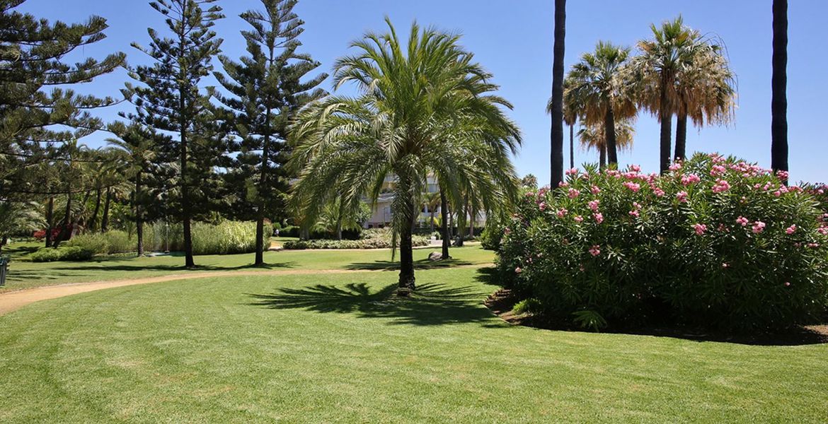 Apartment Playas del Duque