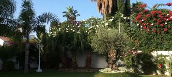 Beautiful villa in Nueva Andalucia
