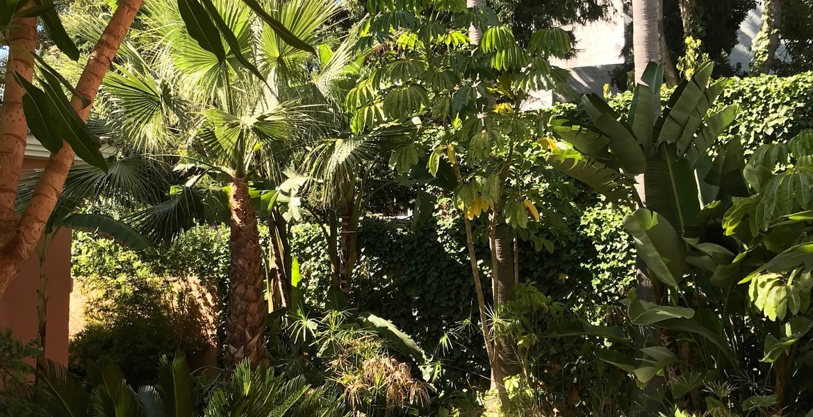 VILLA DE LUXE À MARBELLA  ENTRE PUENTE ROMANO ET MARBELLA CL