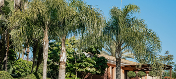 VILLA DE LUXE À MARBELLA  ENTRE PUENTE ROMANO ET MARBELLA CL