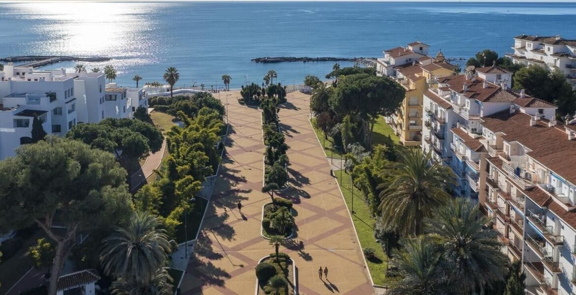 Apartments for rent in Puerto Banus