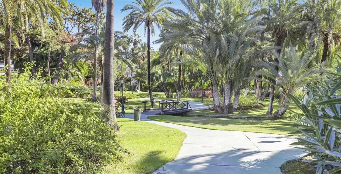 Apartments for rent in Puerto Banus