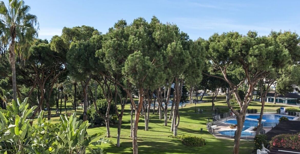 Apartment for rent in Puerto Banus