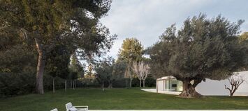Spectacular villa for rent