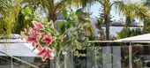 Villa for rent in Marbella