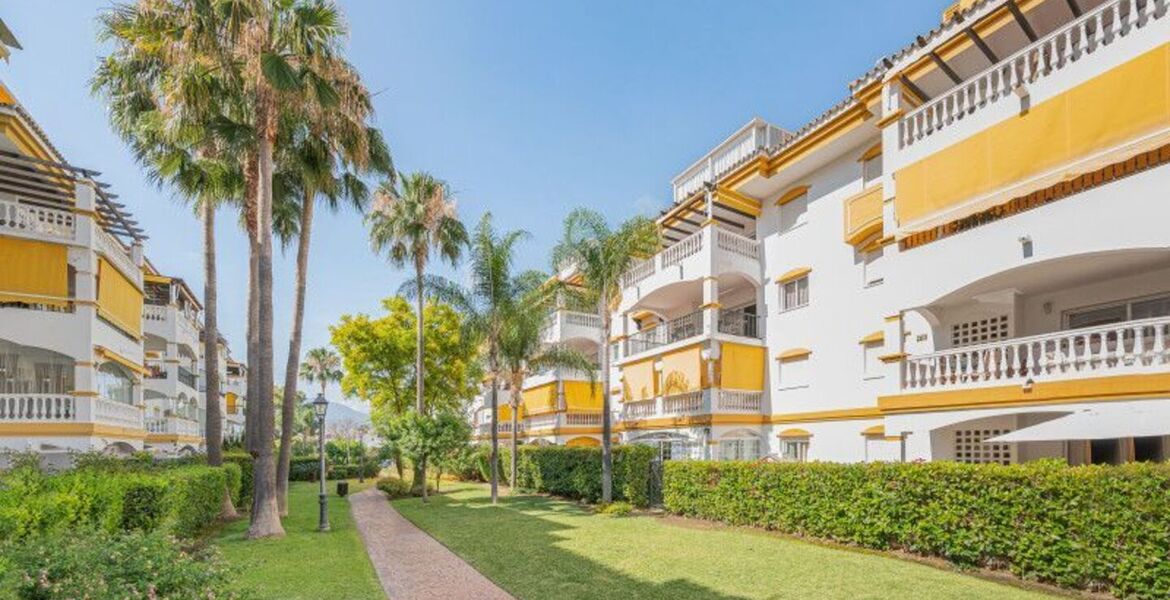 Luxury Penthouse in Nueva Andalucia