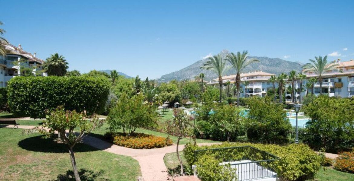 Luxury Penthouse in Nueva Andalucia