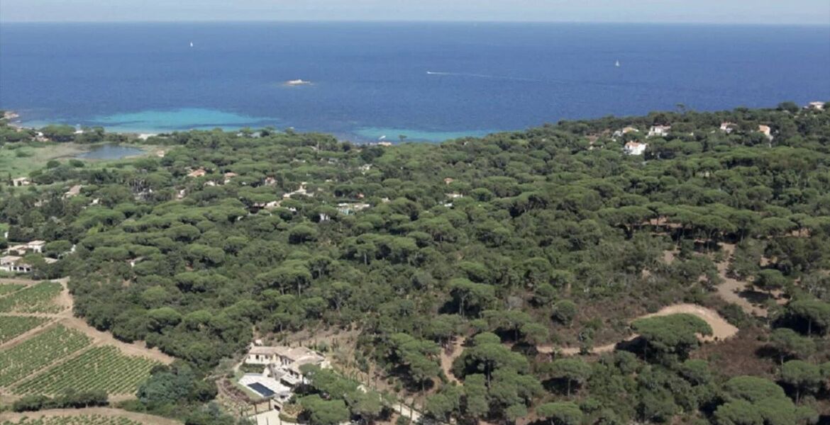 Luxury villa in Saint Tropez