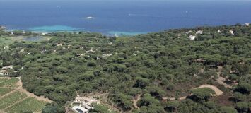 Luxury villa in Saint Tropez