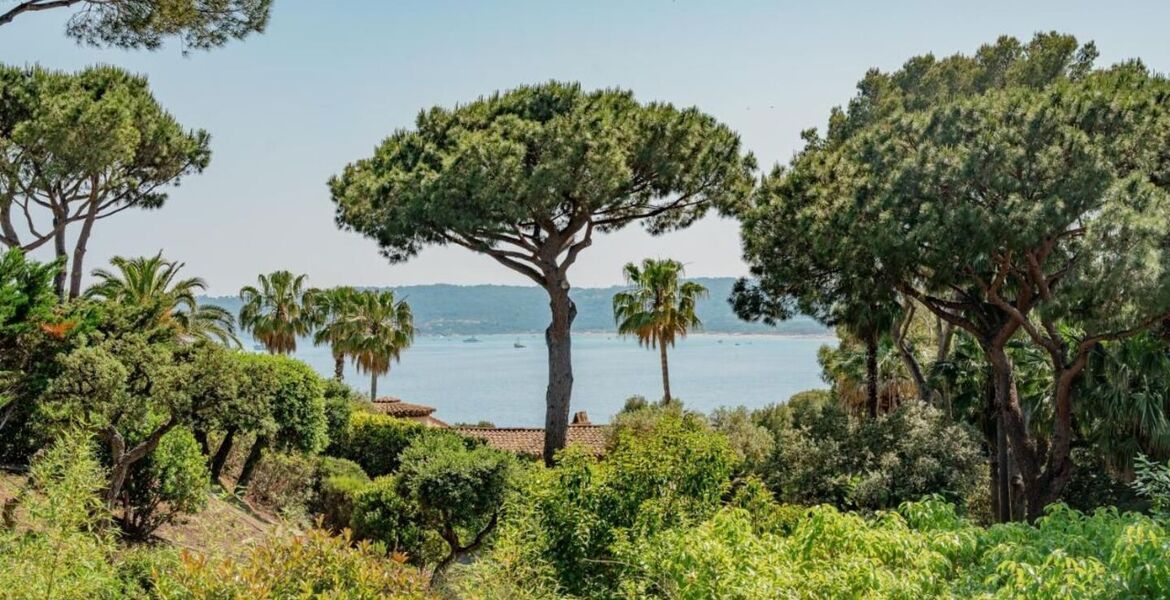 Luxury villa in Saint Tropez