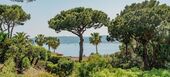 Luxury villa in Saint Tropez
