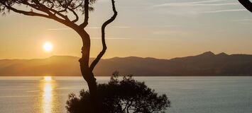 Luxury villa in Saint Tropez