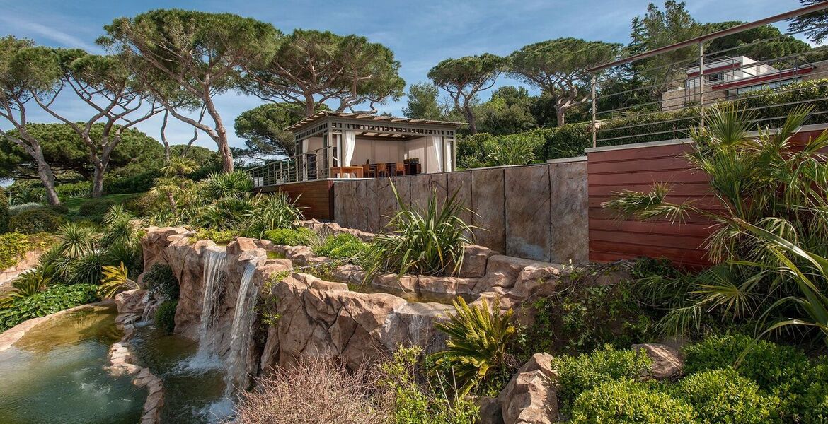 Luxury villa in Saint Tropez