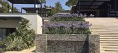 Luxury villa in Saint Tropez
