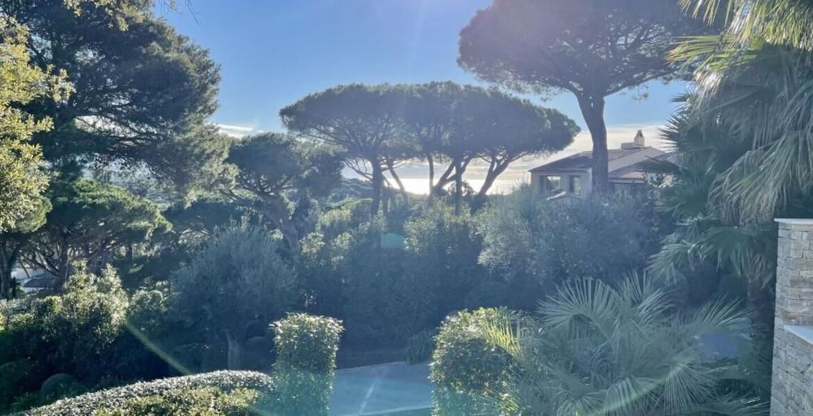 Luxury villa in Saint Tropez