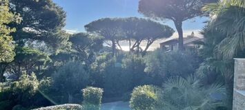 Luxury villa in Saint Tropez