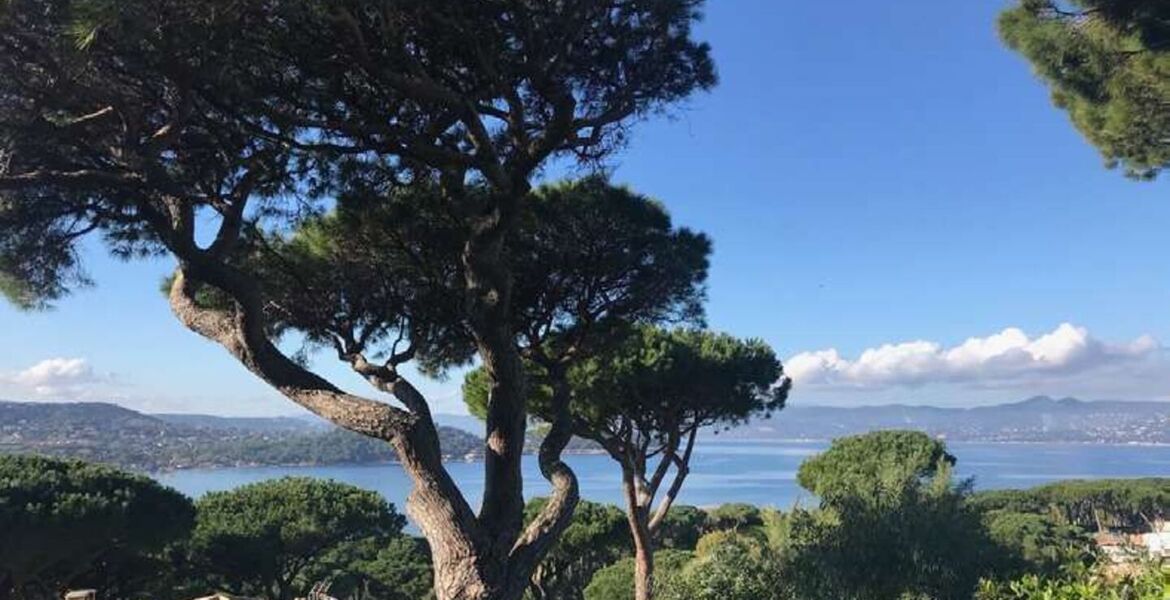 Luxury villa in Saint Tropez