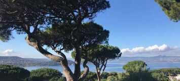 Luxury villa in Saint Tropez