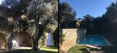 Luxury villa in Saint Tropez