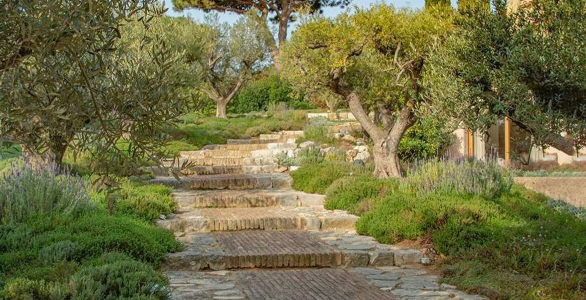 Luxury villa in Saint Tropez