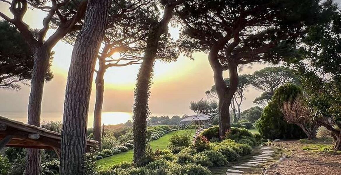 Luxury villa in Saint Tropez