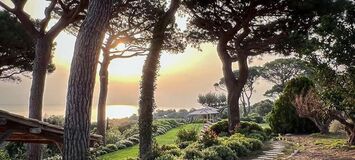 Luxury villa in Saint Tropez