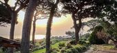 Luxury villa in Saint Tropez