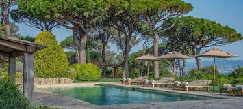 Luxury villa in Saint Tropez