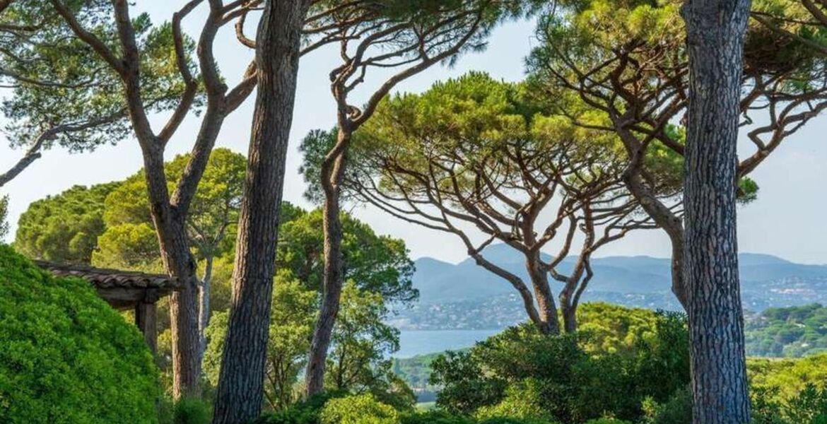 Luxury villa in Saint Tropez