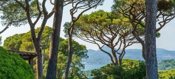 Luxury villa in Saint Tropez
