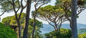 Luxury villa in Saint Tropez