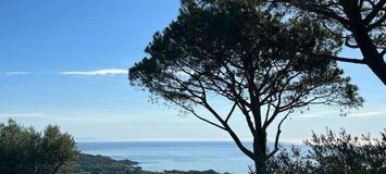 Luxury villa in Saint Tropez