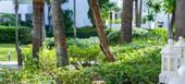 Luxury 3-Bedroom Apartment on Marbella's Golden Mile