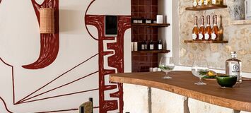 Luxury Villa in Provence
