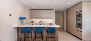 Luxury apartment for rent in Beach Front Estepona