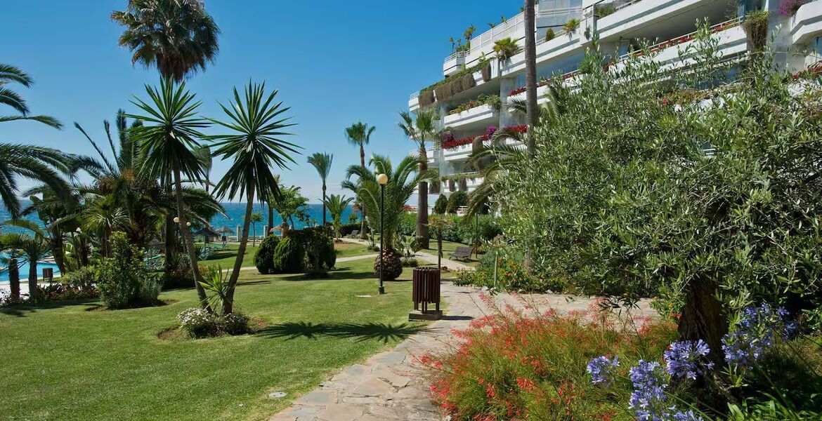 Apartment for Rental in Playa Esmeralda Marbella