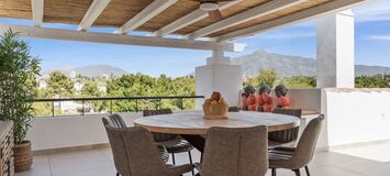 Penthouse for rent in Nueva Andalucia Marbella