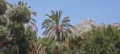 Luxury Villa for rent in Golden Mile Marbella