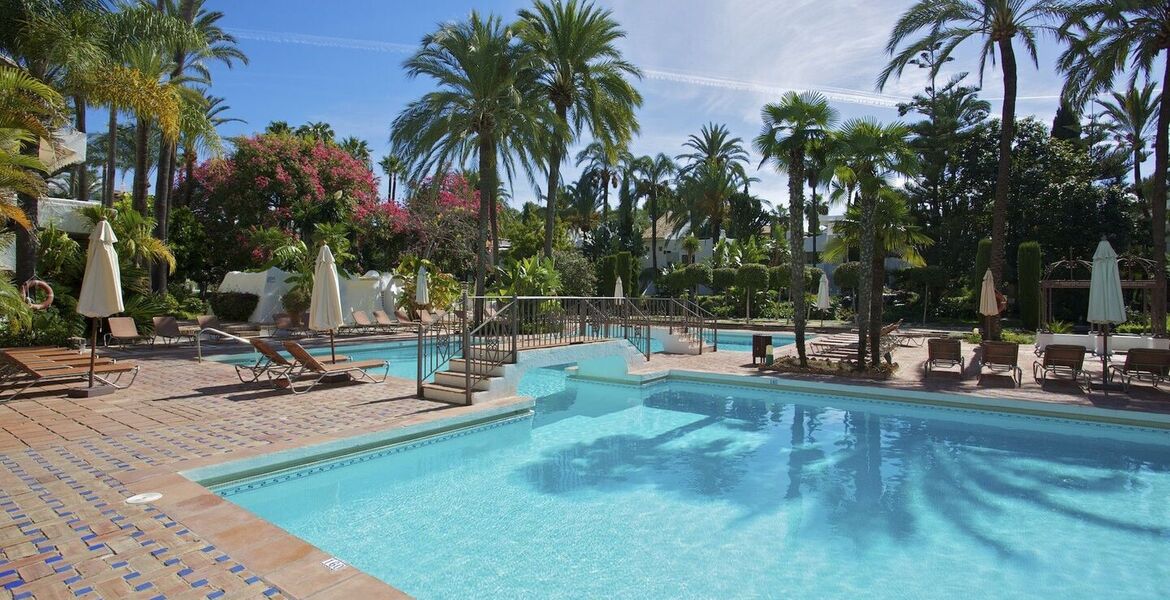 Penthouse for rent in Puerto Banus