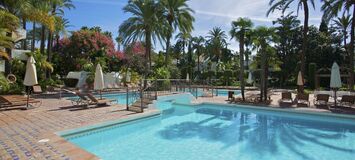 Penthouse for rent in Puerto Banus