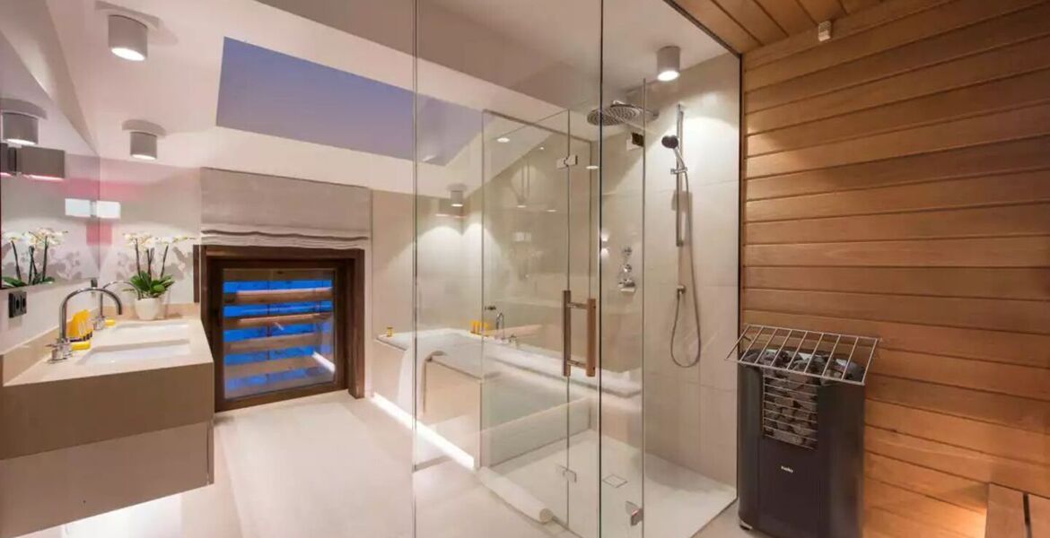 Penthouse for rent in Austria