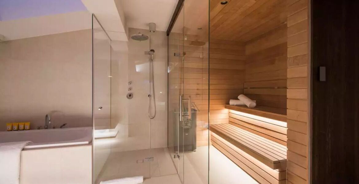 Penthouse for rent in Austria