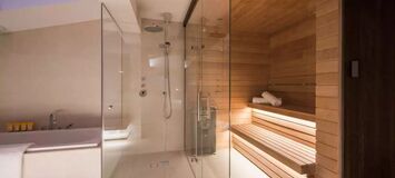 Penthouse for rent in Austria