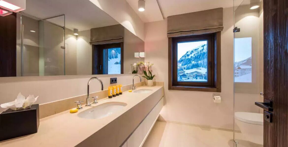 Penthouse for rent in Austria