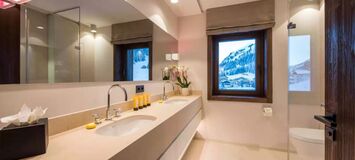 Penthouse for rent in Austria