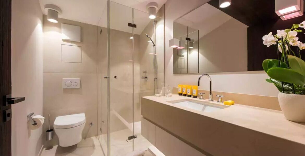 Penthouse for rent in Austria
