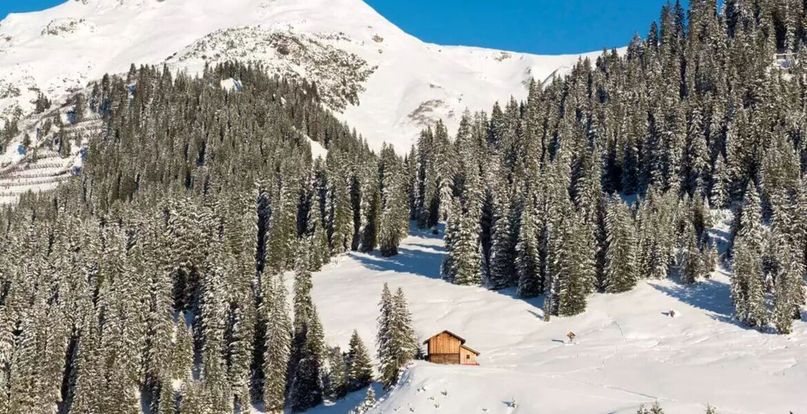 Penthouse for rent in Austria