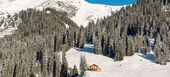 Penthouse for rent in Austria